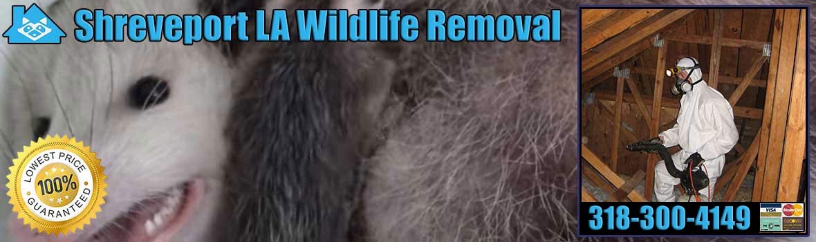 Shreveport Wildlife and Animal Removal